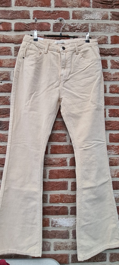 Pantalon Nina velours